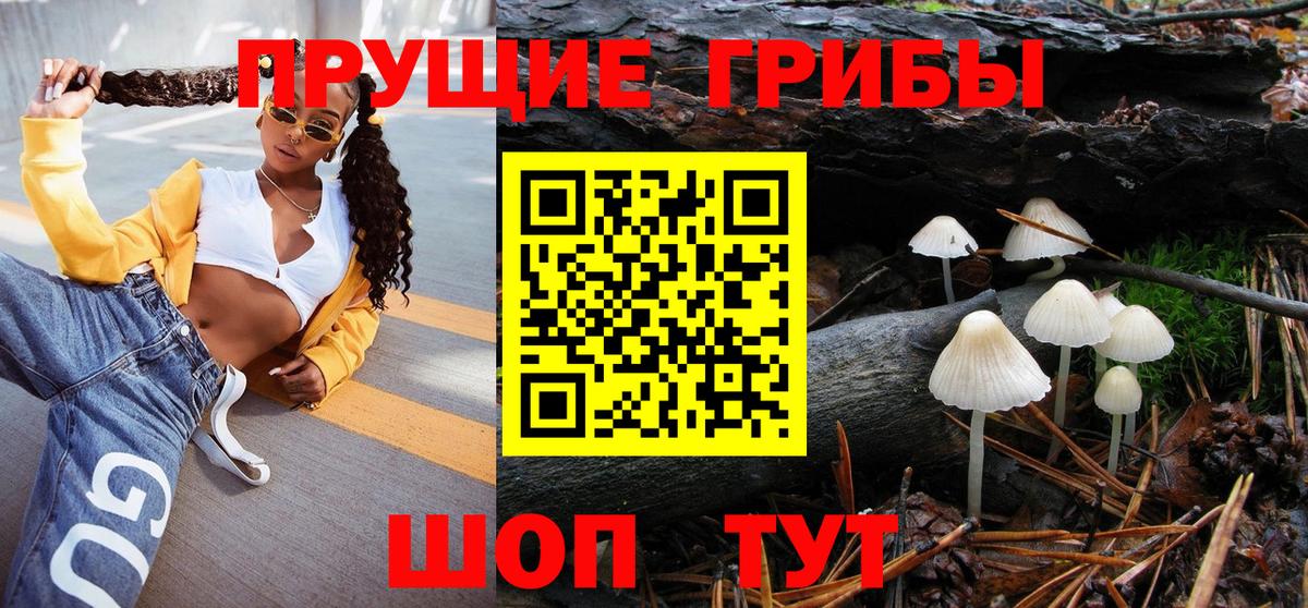 Псилоцибиновые грибы GOLDEN TEACHER  Вход с VPN  как найти   Галлюциногенные грибы Magic Shrooms  Грязи 