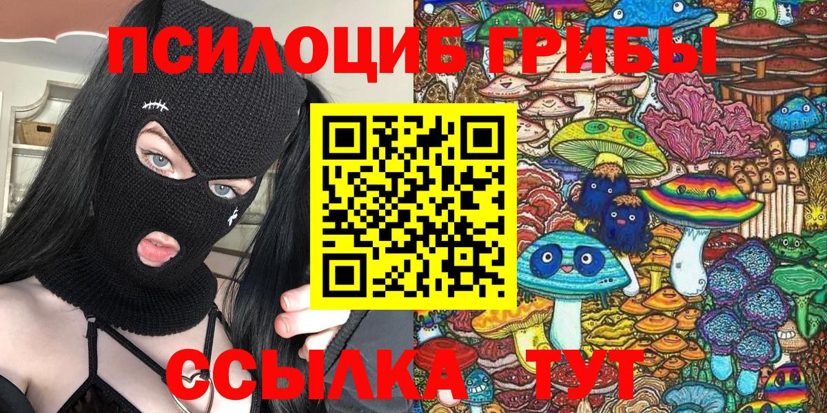Галлюциногенные грибы Psilocybine cubensis Грязи