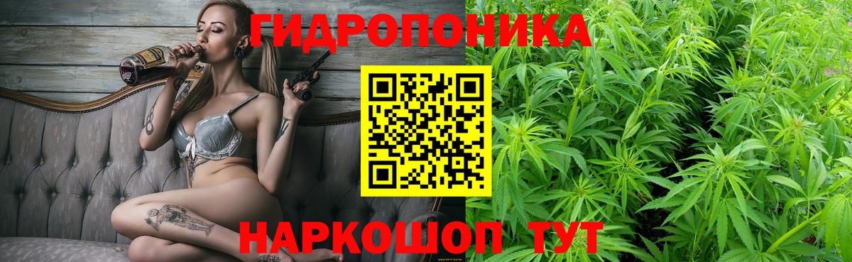 Бошки Шишки гибрид Грязи